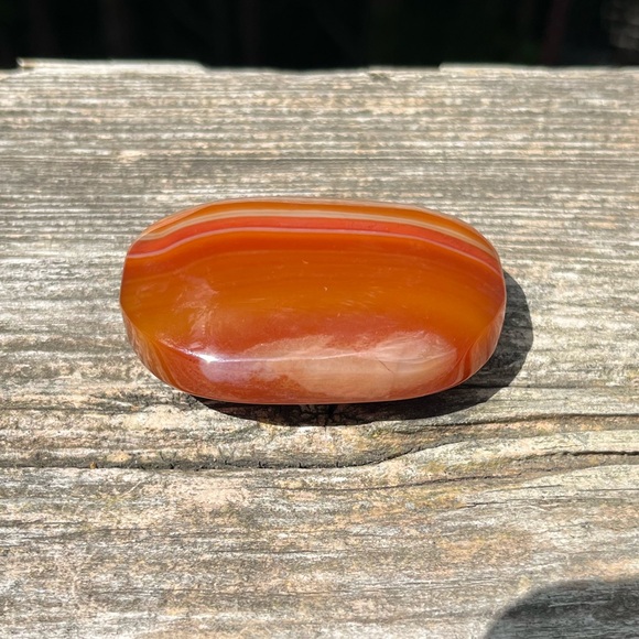 Carnelian Palm - Picture 5 of 6